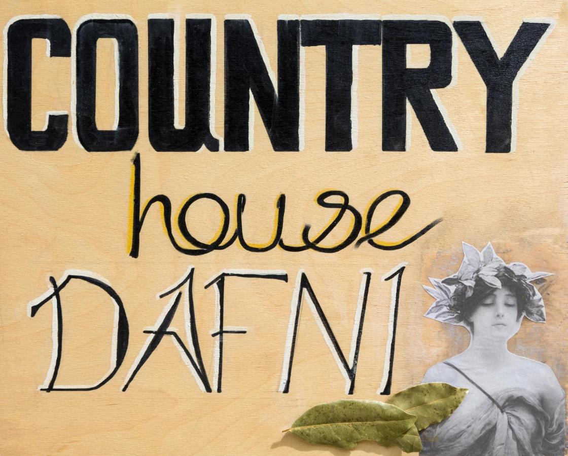 Country House Dafni Vasilikós Exterior photo